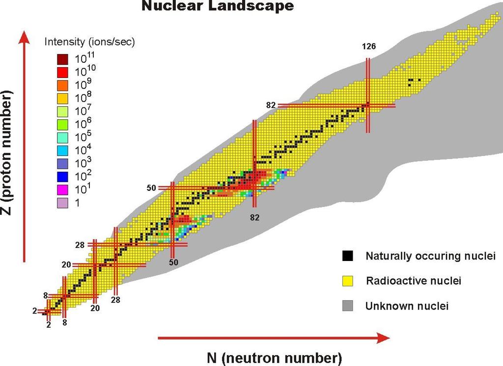 Expected yields of singly-charged radioactive ions from the LERIB