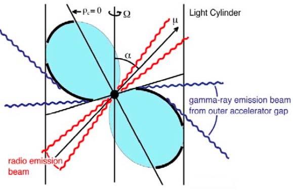 outer magnetopshere due to absence of superexponential cutoff Radio and γ-ray fan