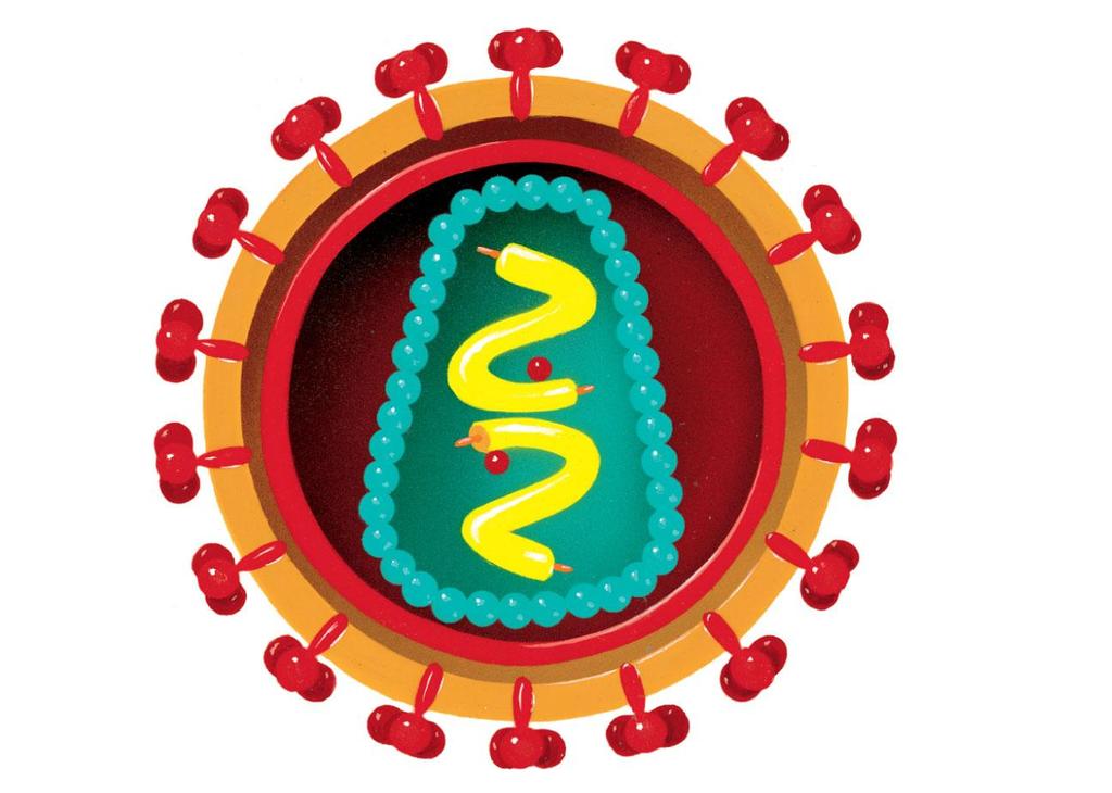 Figure 19-12 Viral structure and replication glycoproteins envelope (lipid bilayer) protein