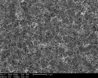 Samples "as grown" chemical vapor deposition (CVD) SWCN films Growth condition SEM picture Raman spectra G Type 1 Catalyst: FeCo on SiO 2 Gas: 400 sccm CH 4, 70 sccm H 2 Temperature: 850 C RBM Si D 0