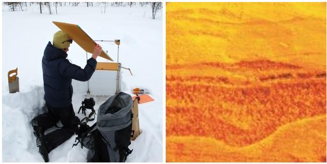 Figure 5: Preparing to take an NIR photograph of a snow profile (left). Image of a snow profile captured by NIP (right). The picture clearly reveals the individual layers, even if they are very thin.