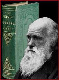 Darwin described his theory in the form of a