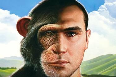 Circular reasoning Much of the information for human evolution comes from studying