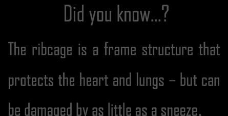 13 Did you know...? The ribcage is a frame structure that protects the heart and lungs but can be damaged by as little as a sneeze. B.