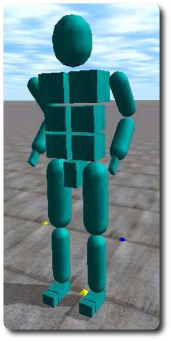 The simulated high DOF humanoid robot Generic humanoid robot with 26 DOFs (cf.