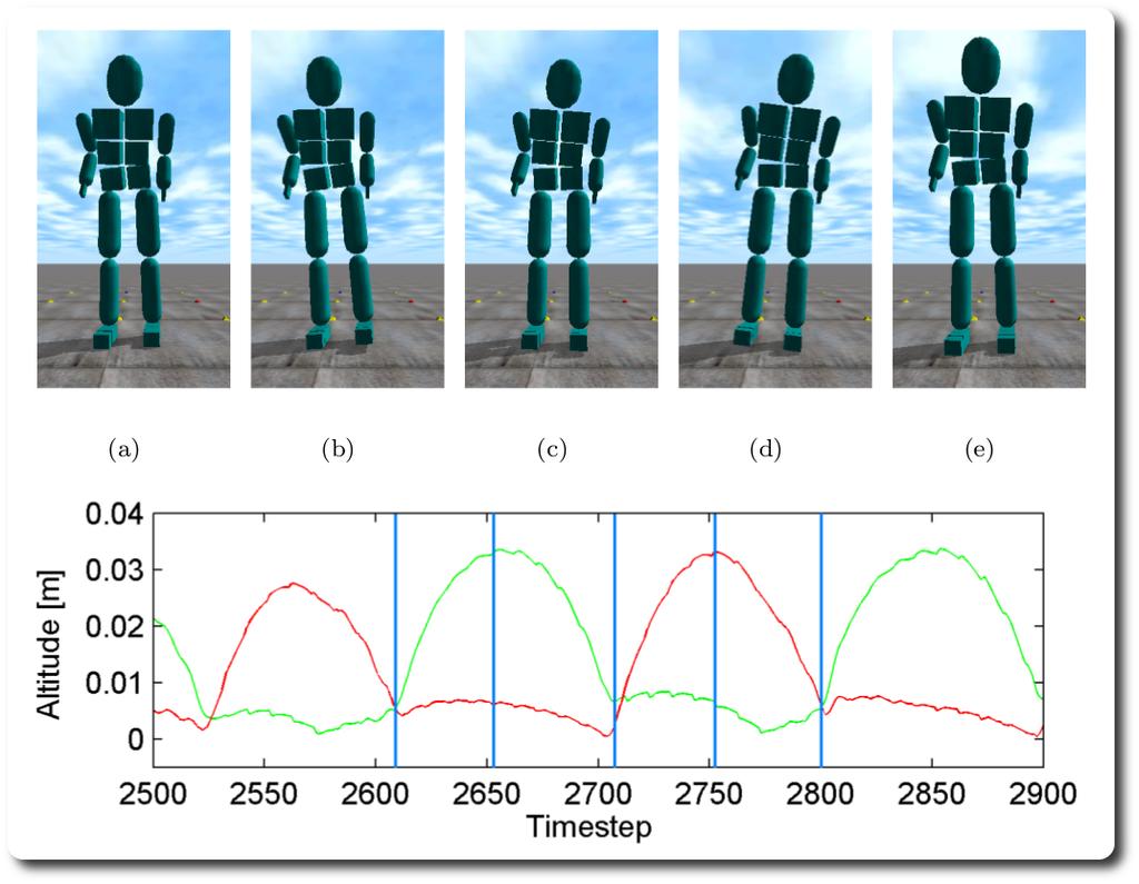 Robot walking A gait cycle: Evolution of robot
