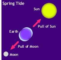 the same directions. This causes the highest tides, called spring tides.