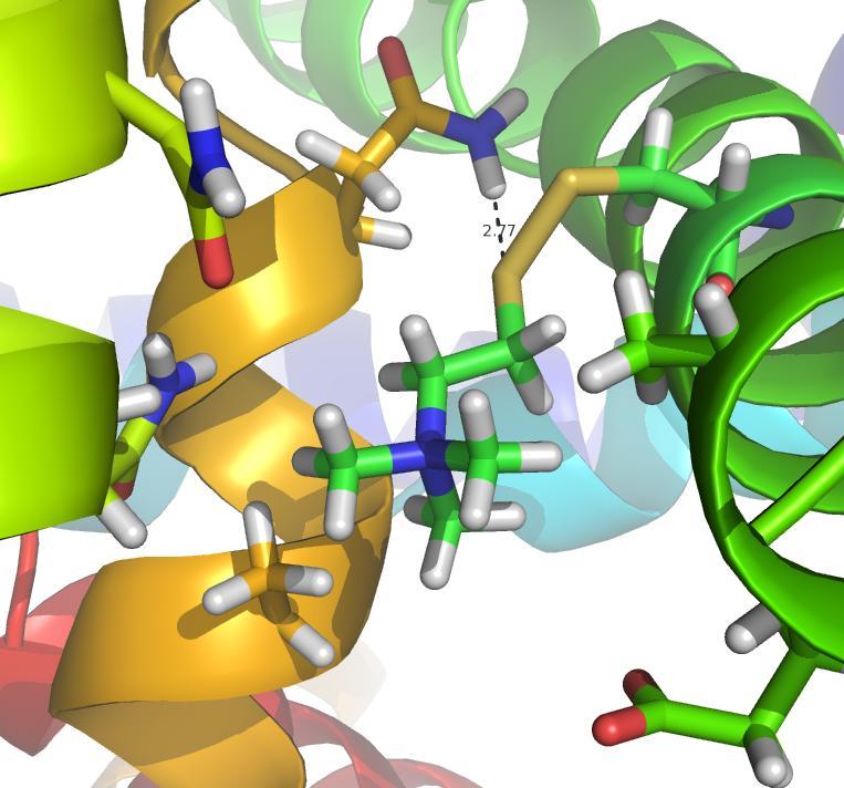1 channel with MTS-modified engineered cysteine, m C 2i29.