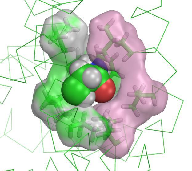 sodium channel NavAb (PD code 3RVW). Hydrogen atoms are added with PYMOL.