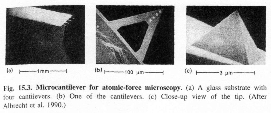 Atomic Force Microscope Cantilevers C.
