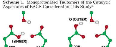 Protein modeling: BACE Protonation state of important Asp residues