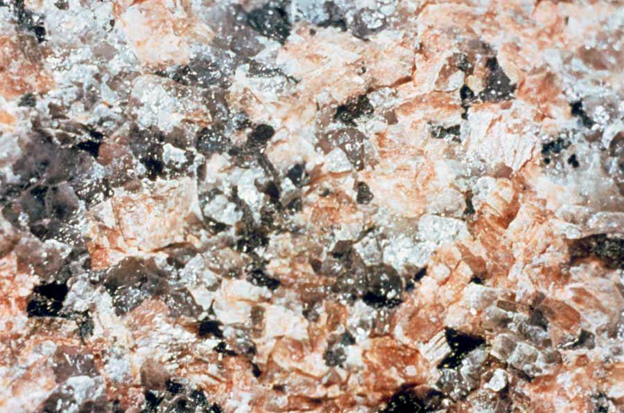 biotite (black) crystals.