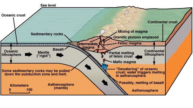 Felsic Magma Formation Felsic (granitic) magma forms from a partial melt of crust, which contains dissolved water.