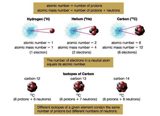 ATOMS Nucleus and its electron cloud... protons, neutrons, electrons (and quarks.