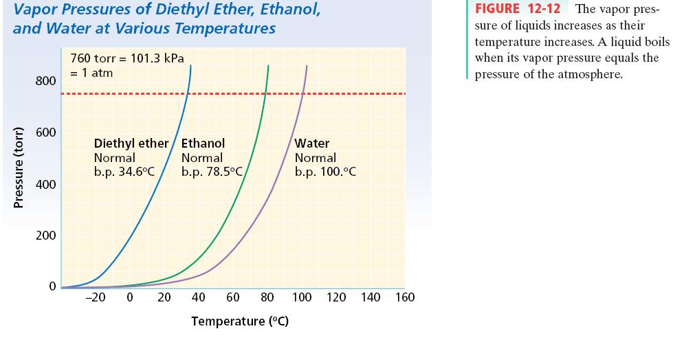 This is a graph of the equilibrium vapor pressures The curve shows that at any given temperature, vapor in equilibrium
