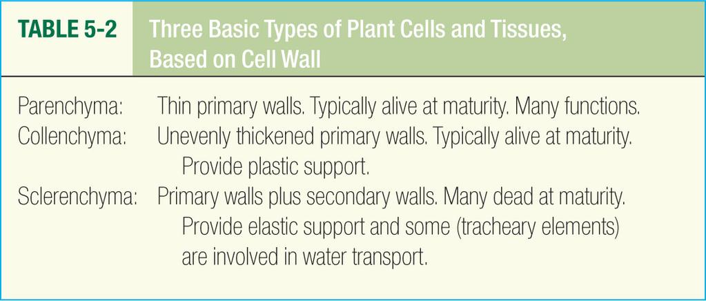 Most cells are living at maturity.