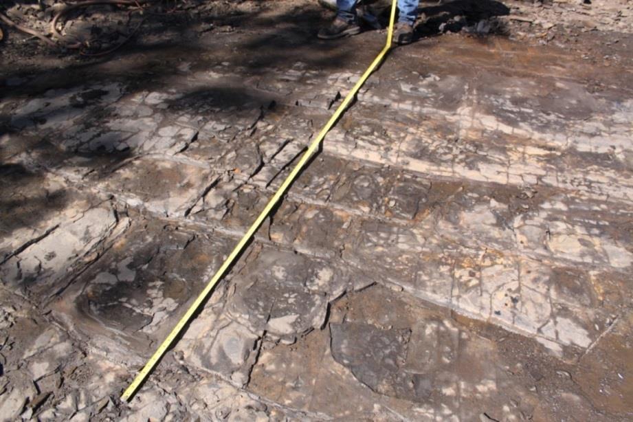 Fig. 2.7 The Fayetteville Shale outcrop (Image provided by Southwestern Energy).