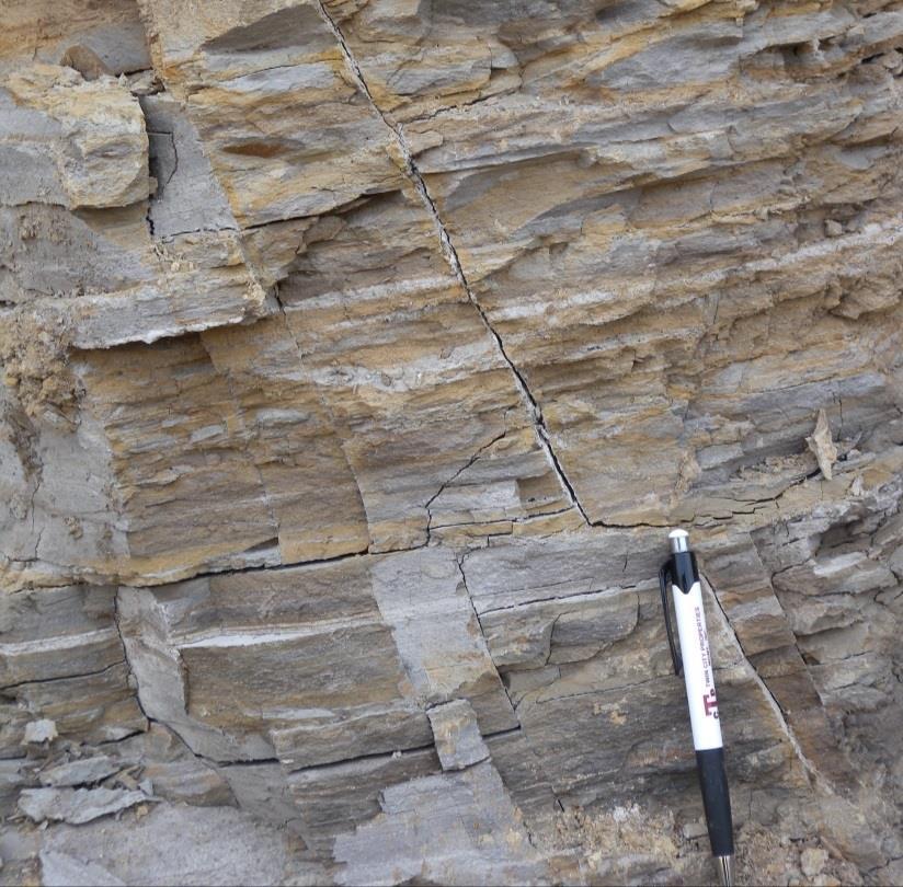 Fig. 3.10 Natural fractures in the Barnett Shale outcrop.