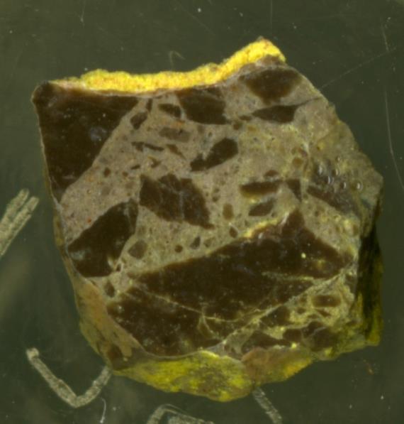 Field Observations U Mineralized Sample Carnotite U,V
