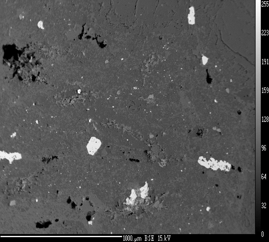 Microprobe Analysis (BSE) images of Au