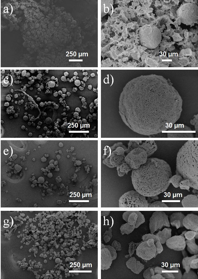 Fig. S5 SEM micrographs of freeze-dried samples T + GdL hydrogel microspheres prepared under same conditions (20 mm PDI-COOH