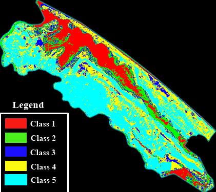 Application of Remote Sensing and GIS Technology in Mapping Partition Saline Intrusion to 53 Fig. 3 Unsupervised classification results based on Landsat imagery. Fig. 4 The NDVI value in unsupervised classification.