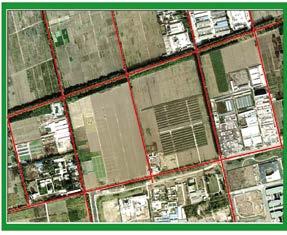 农普与土地利用数据相结合的两阶段抽样 标准地块面积 (ha) 6.0 5.0 2.