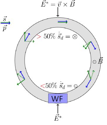 Resonance Method in Magnetic Rings RF ExB dipole in Wien filter mode Avoids coherent betatron oscillations In-plane polarization Modulation of horizontal spin precession in the RF Wien filter EDM s