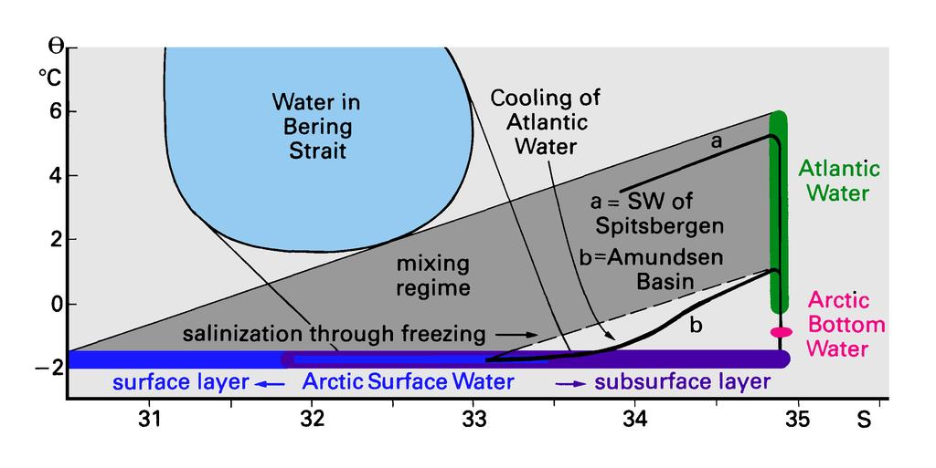 Arctic oceanography 97 size and carry water with distinct property characteristics into a region with different water properties, increasing the area of contact between the different water masses