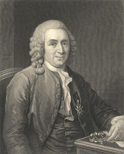 L. Stands For Linnaeus