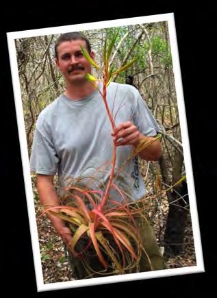 For those of you who do not know Andy, his background is in chemical engineering, but his fascination with the bromeliad family and exploring them in habitat has resulted in his forming a tour