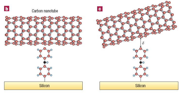 structure between an organic molecule and a metal electrode