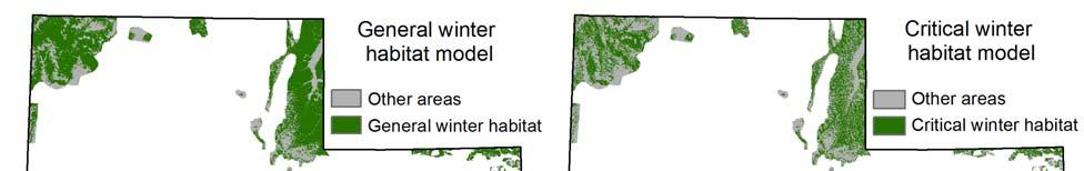 RESULTS The general and critical winter habitat models identify areas with suitable vegetation, topographic, and climatic conditions for sage grouse winter habitat at much finer spatial resolution