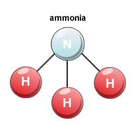 Ammonia is a base But there