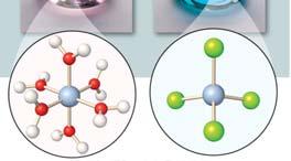 Complex ions exhibit beautiful colors when transition metal ions