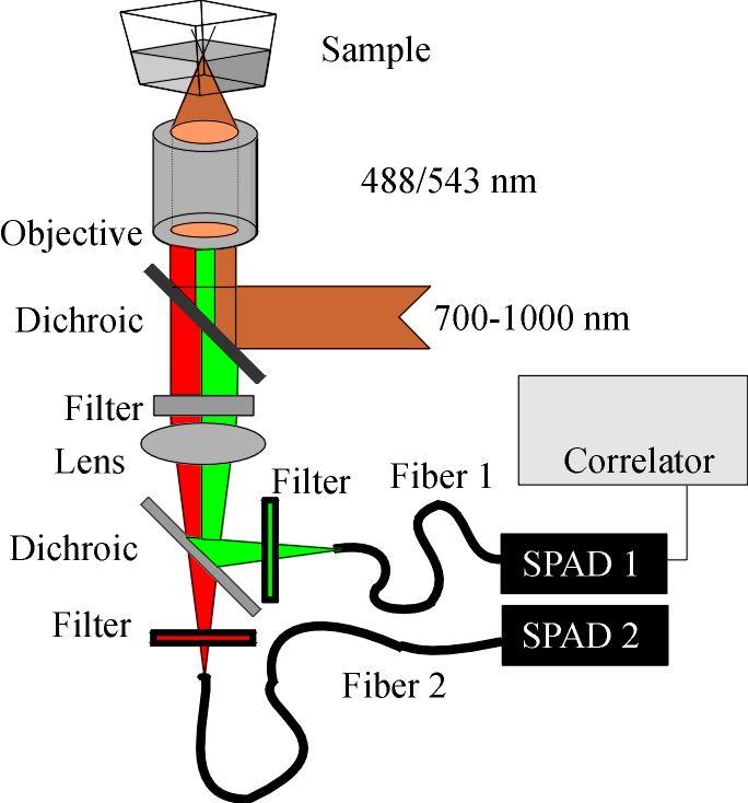 Experimental setup for TPCCS Inherent overlap of excitation volumes Simplified alignment of detection