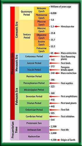 The geologic time scale Rather than being based on months or even years, the geologic time scale is divided into four large sections, the Precambrian (pree KAM bree un) Era, the Paleozoic (pay lee uh