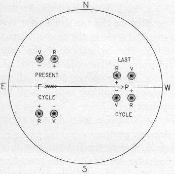 The Sun s Magnetic Cycle Hale s polarity Law (1919)