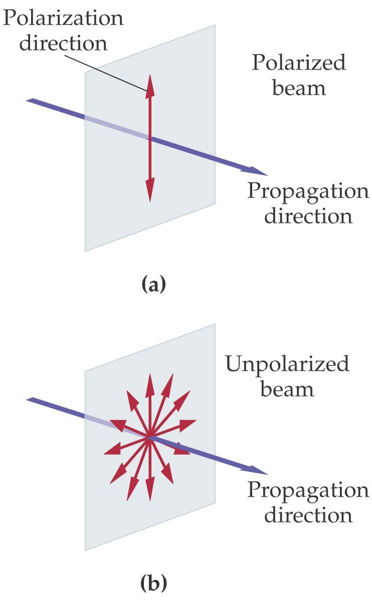 25-5 Polarization Polarized light has its electric fields all in the same
