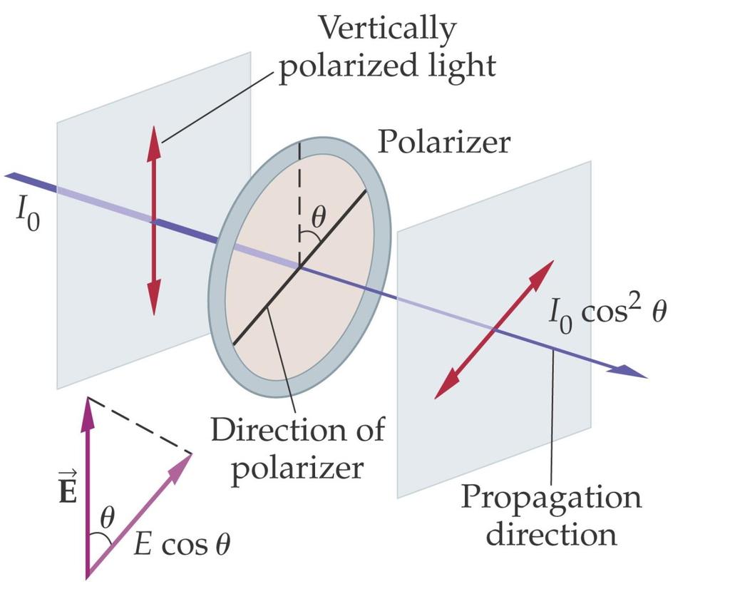 25-5 Polarization A polarizer will transmit the