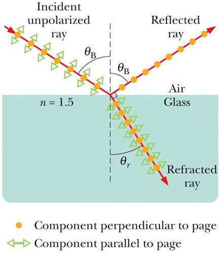 When unpolarized light reflects off of a surface at the Brewster angle θ B, it becomes polarized in the