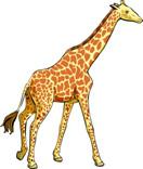 For example, a simple food chain links the trees & shrubs, the giraffes (that