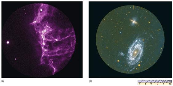 Ultraviolet images (a)the Cygnus loop supernova remnant (b) M81 Gamma