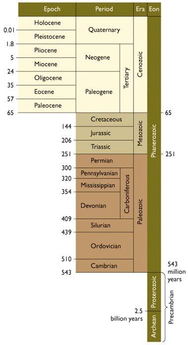 GEOLOGIC TIME The age of the Earth is about 4.65 billion years which represents geologic time.