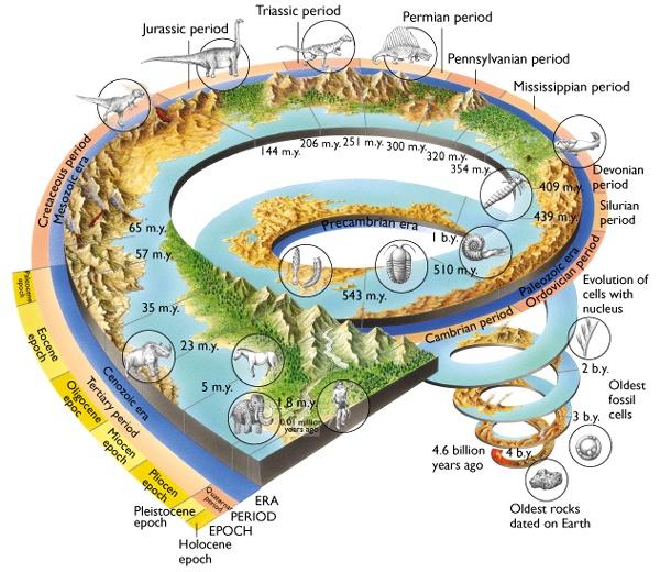 18 The geologic time scale is a convenient way to subdivide the events and ages of rocks that were formed throughout Earth history.