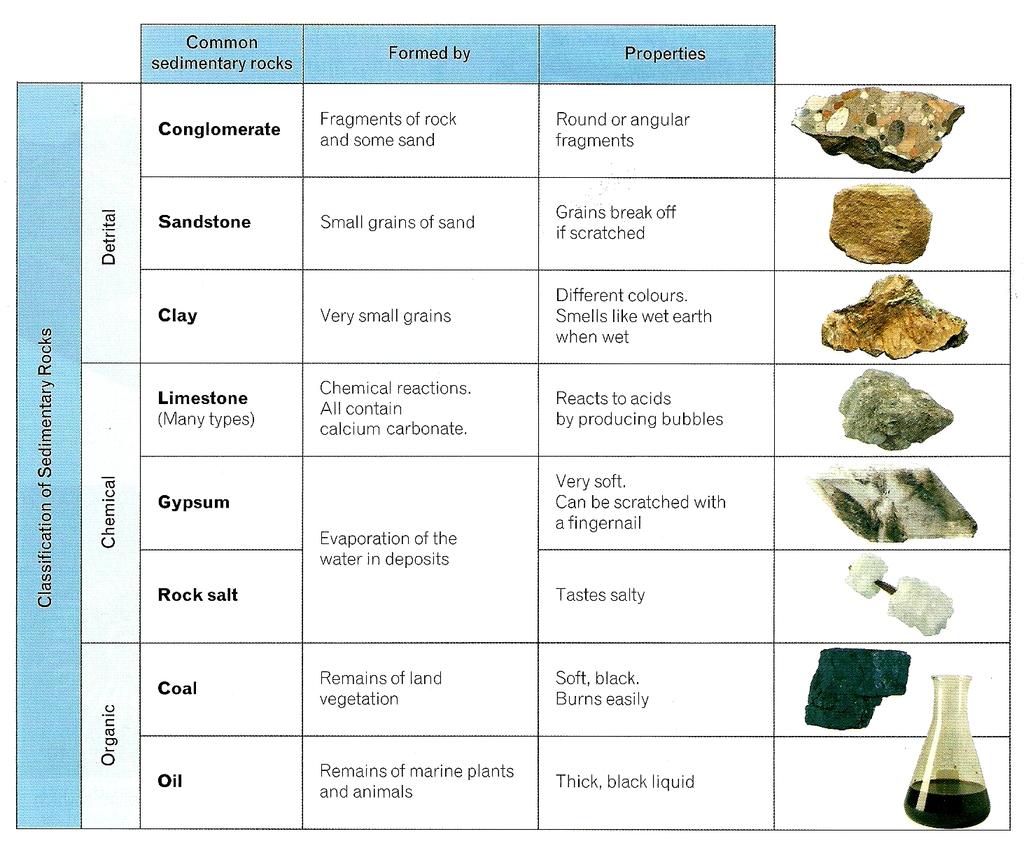 3.3. Sedimentary rocks a) Types of sedimentary rocks Sedimentary rocks are classified into three groups: detrital, chemical and organic.