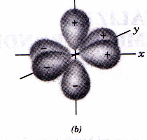 rbitals Shapes of rbitals s - orbital
