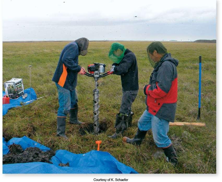Investigating Life: Genetic Messages From Ancient Ecosystems Researchers drill through the permafrost to collect