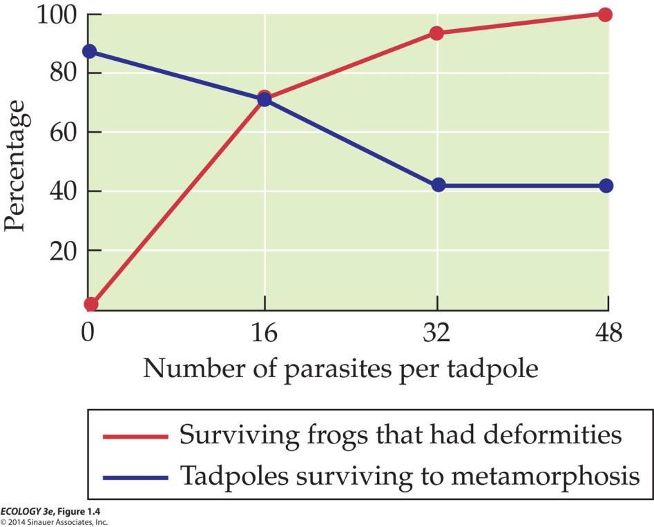 Connections in Nature A controlled experiment to test hypothesis that Ribeiroia parasites caused deformities (Johnson et al, 1999) Tree frog eggs were exposed to Ribeiroia parasites in the