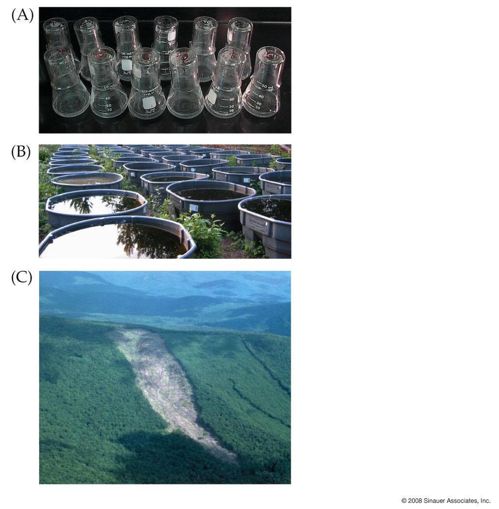 Answering Ecological Questions Ecological experiments can be done at different spatial scales: Small-scale laboratory experiments in test